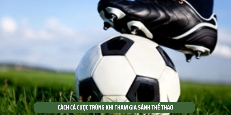 Cách cá cược trúng khi tham gia sảnh thể thao