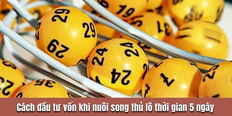 Cách đầu tư vốn khi nuôi song thủ lô thời gian 5 ngày