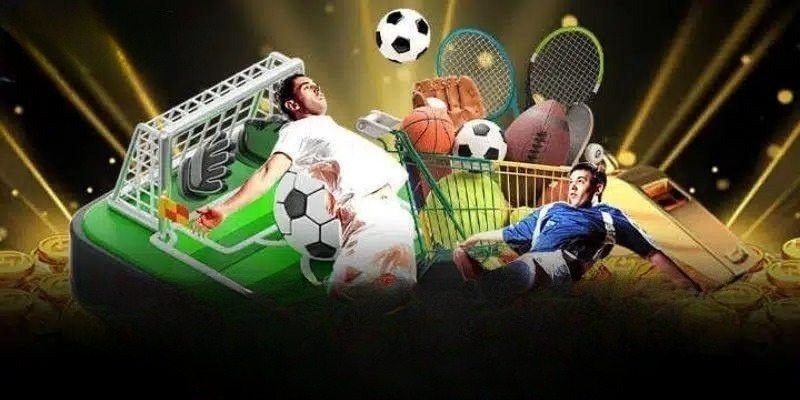 Sơ lược thông tin sảnh thể thao Pog79